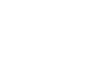 Metamorphose New York